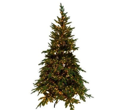 Christmas Trees